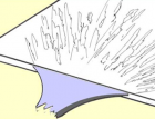 \Ͻ(dng)ȱݵJ(rn)R(sh)Ϳƣ130 (1633)