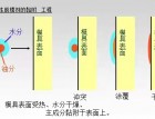 ÓģͿg(sh)315 (952)